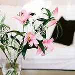 Boutique Oberkassel Hotel 3*
